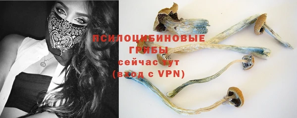 мдма Новодвинск