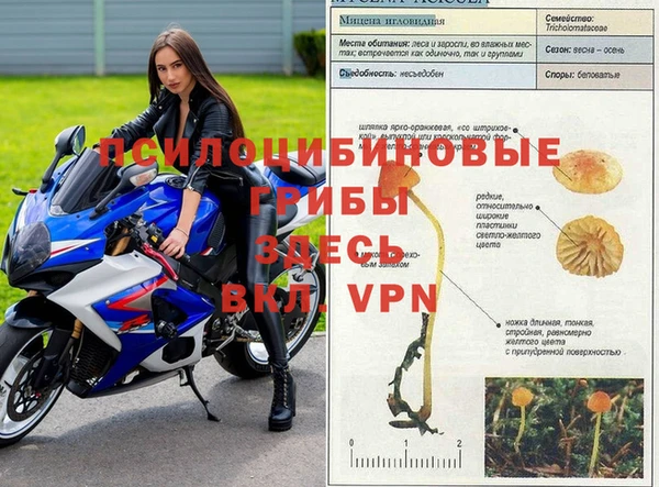 МДМА Алексеевка